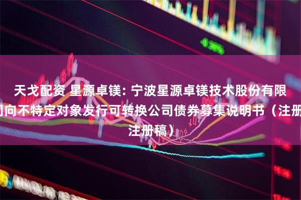 天戈配资 星源卓镁: 宁波星源卓镁技术股份有限公司向不特定对象发行可转换公司债券募集说明书（注册稿）