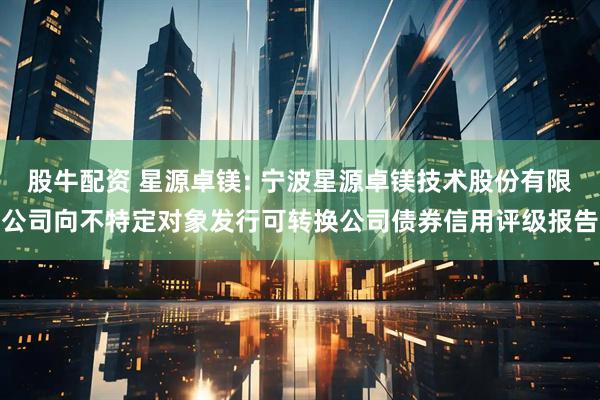 股牛配资 星源卓镁: 宁波星源卓镁技术股份有限公司向不特定对象发行可转换公司债券信用评级报告