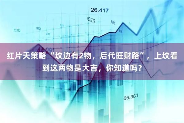 红片天策略 “坟边有2物，后代旺财路”，上坟看到这两物是大吉，你知道吗？