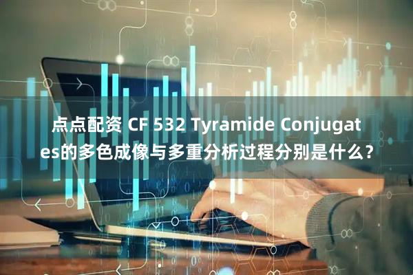 点点配资 CF 532 Tyramide Conjugates的多色成像与多重分析过程分别是什么？