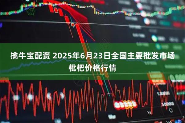 擒牛宝配资 2025年6月23日全国主要批发市场枇杷价格行情
